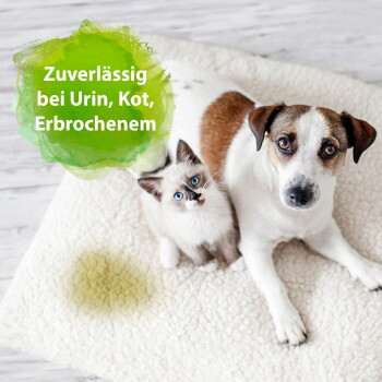 Hund und Kätzchen auf weißem Haustierbett mit gelbem Fleck und grünem Text "Zuverlässig bei Urin, Kot, Erbrochenem"