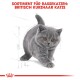 Illustration einer Britisch Kurzhaar Katze mit grauem Fell und bernsteinfarbenen Augen, begleitet von dem Text 'SORTIMENT FÜR RASSEKATZEN: BRITISCH KURZHAAR KATZE.'