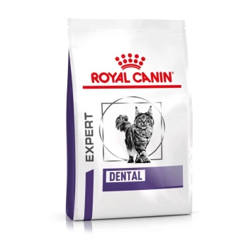 Royal Canin Expert Dental kattenvoer zak met een illustratie van een grijze tabby kat, met de tekst "EXPERT" en "DENTAL" prominent weergegeven.
