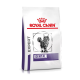 Royal Canin Expert Dental Katzenfutterbeutel mit einer Abbildung einer grauen getigerten Katze, mit dem Text 'EXPERT' und 'DENTAL' deutlich angezeigt.