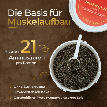 Geöffneter Eimer mit dunklen Pellets und Messlöffel; deutscher Text: „Die Basis für Muskelaufbau“, „Mit allen 21 Aminosäuren“