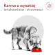 Pies je z czerwonej miski; polski napis 'Karma o wysokiej smakowitości i strawności' oraz odznaka 'Veterinary Nutrition'.