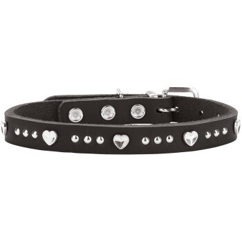 Schwarzes Lederhalsband für Haustiere mit silbernen Herznieten, runden Nieten, verstellbarer Schnalle und Druckknöpfen.