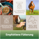 Bild, das Fütterungshinweise für Pferde mit einem Maßstab-Icon zeigt. Der Text enthält Fütterungsempfehlungen für laktierende und tragende Stuten.