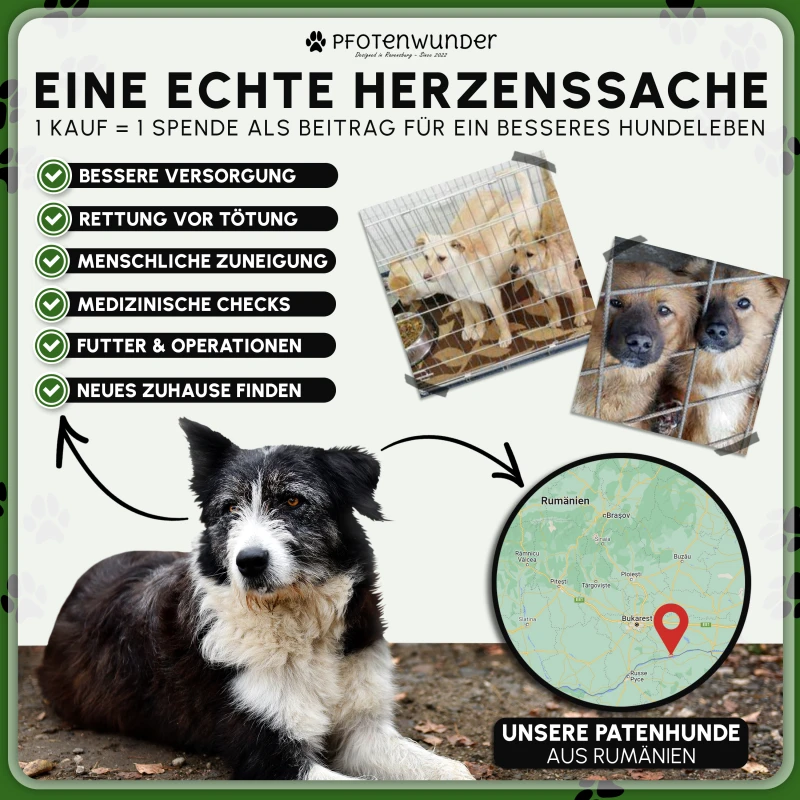 PfotenWunder® Hundeklo XXL 76*51cm, 2 Easy-Wash-Rasen + 1 Büchlein