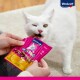 Eine Person hält eine pinke Vitakraft Cat Snack Verpackung, während eine weiße Katze gierig einen Leckerbissen beißt, was das Produkt und den verspielten Blick der Katze hervorhebt.