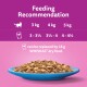 Feeding recommendation chart for cats, showing portion sizes for 3 kg, 4 kg, and 5 kg cats, with a blue plate of cat food.