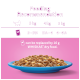 Feeding recommendation chart for cats, showing portion sizes for 3 kg, 4 kg, and 5 kg cats, with a blue plate of cat food.