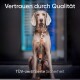runde Hundeleine 2m, 3-fach verstellbar