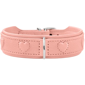 Rosa gepolstertes Lederhundehalsband mit aufgenähten Herzakzenten, silberner Schließe und Halter