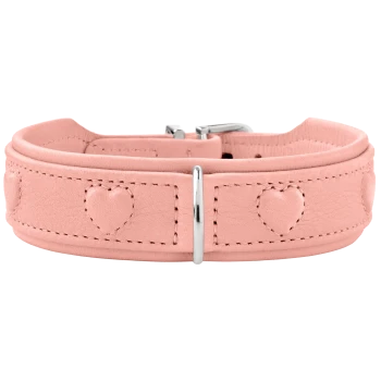 Rosa gepolstertes Lederhundehalsband mit aufgenähten Herzakzenten, silberner Schließe und Halter