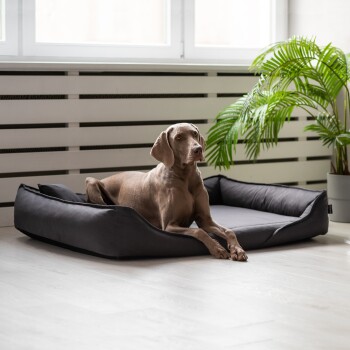 Tierlando CLEMENS Hundebett Baumwolle Orthopdisch | FRESSNAPF