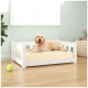 Ein Golden Retriever, der glücklich auf einem gemütlichen beigen Hundebett in einem hellen Raum mit hellblauen Wänden und einem grünen Tennisball in der Nähe liegt.