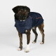 Eine Nahaufnahme eines Hundes, der eine dunkelblaue, isolierte Jacke mit hohem Kragen und orangefarbenen Akzenten trägt, die sein Profil zeigt.