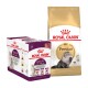 Produits alimentaires pour chats Royal Canin, y compris une boîte de 12 sachets Sensory et un sac de nourriture sèche pour chats persans adultes, avec une image de chat.