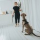 Eine Person in einem schwarzen Outfit hält eine Hundeleine, steht in einer hellen Küche mit einem Hund, der ein Geschirr trägt und in der Nähe sitzt.