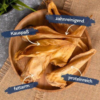 Ein Holzbrett zeigt getrocknete Fischleckerlis mit den Vorteilen: "Kauspaß," "zahnrienigend," "fettarm," und "proteinreich."