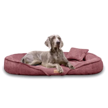 XENIA - Orthopädisches Hundebett / Hundesofa hibiskus pink 1,45 m, 20 cm, 1,05 m Ein großer grauer Hund, der auf einem plüschigen, burgunderfarbenen Hundebett mit passendem Kissen entspannt und Komfort sowie Stil zeigt.