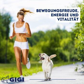 Blauer Hintergrund mit "Spezielle Zusammensetzung," einer 1,6 cm weißen Tablette und Symbolen für MSM, D-Glucosamin-HCL, Vitamin C und Boswellia.