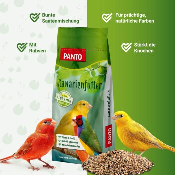 Ein großer Haufen gemischter Vogelfuttermischung mit verschiedenen Samen in Brauntönen, Schwarz und Orange, ideal für Haustiervögel.