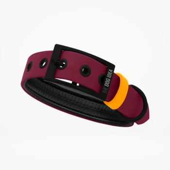 Ein stilvolles Hundehalsband in einem tiefen Pink mit einer schwarzen Schnalle und mehreren Löchern zur Anpassung, mit dem Text "THE DOG IDEA."