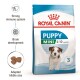 Mini Puppy 2 kg