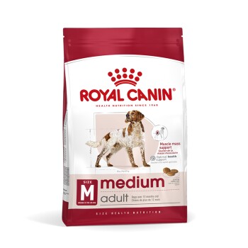 Medium Adult 15 kg