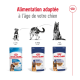 Alimentation adaptée à l'âge de votre chien : Royal Canin Puppy, Maxi Adult et Maxi Ageing.