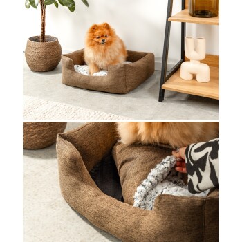 Ein flauschiger Pomeranian-Hund sitzt bequem in einem gemütlichen braunen Haustierbett mit einem weichen, hellen Innenraum, umgeben von einer Pflanze und einem dekorativen Regal.