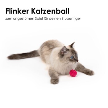 Eine flauschige hellfarbige Katze mit blauen Augen liegt neben einem rosa Ball, mit Text darüber, dass es sich um ein verspieltes Katzenspielzeug handelt.