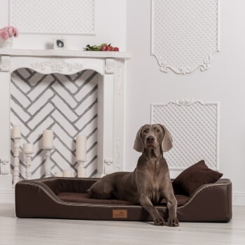 Ein brauner Hund ruht auf einem stilvollen Haustierbett mit einem plüschigen Kissen, vor einem schicken weißen Interieur mit einem dekorativen Kamin und Kerzen.