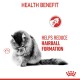 Hairball Care 12 x 85 g 12x85 g