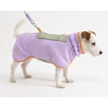 Kleiner weiß-brauner Hund trägt einen lavendelfarbenen Fleece-Mantel mit orangefarbener Einfassung und grünem Leinenhalter vor weißem Hintergrund.
