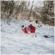Ein verspielter Hund, der einen roten Pullover mit weißen Mustern trägt, springt durch den Schnee in einem bewaldeten Gebiet, umgeben von Bäumen.