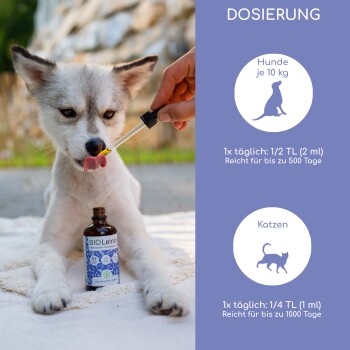 BIO Leinsamenöl-Kanister mit dem Aufdruck '100% natürlich und kaltgepresst', mit Symbolen für Vitamine, Mineralien und Bio-Zertifizierung.