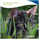 Nahaufnahme einer getigerten Katze im Gras mit deutschem Text „So fördert ihr die Energie eurer Lieblinge“ und „Canina“