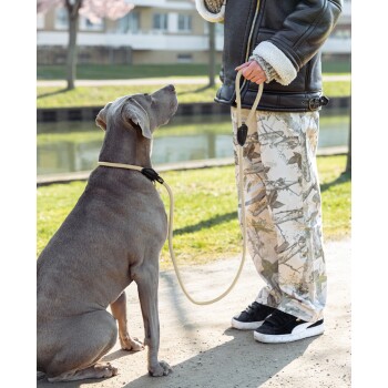 Eine Person in einer blauen Jacke hält eine Hundeleine, während ein schwarz-brauner Hund aufmerksam auf einem Waldboden sitzt.