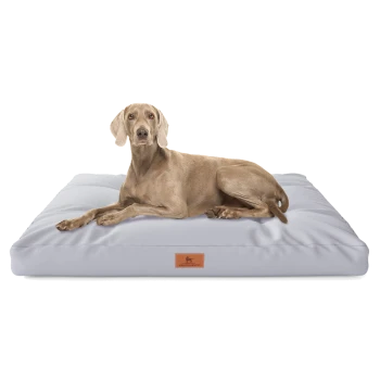 Ein hellgraues Hundebett mit einem tanfarbenen Hund, der bequem darauf liegt, mit einem kleinen braunen Etikett mit einem Hundelogo.