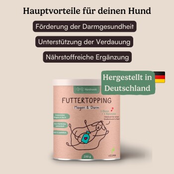 Futtertopping für Hunde, das die Darmgesundheit und Verdauung fördert, 250g, vegan, hergestellt in Deutschland, mit Vorteilen auf Deutsch aufgeführt.