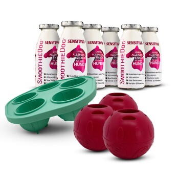 Grüne Silikonform mit vier Mulden, drei roten Leckerlibällen und sechs weißen SmoothieDog Sensitivo-Flaschen mit der Aufschrift Hypo-Allergen Snack.