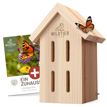 Holzinsektenhaus mit einem Schmetterling oben drauf, begleitet von einem Leitfaden mit dem Titel "Ein Zuhause für Insekten" von Wildtier Liebe.