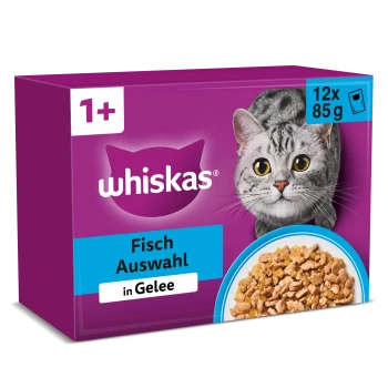 Whiskas Katzenfutterkarton: 1+, Fisch Auswahl in Gelee, 12 x 85 g; grau getigerte Katze und Schüssel mit Fisch in Gelee.