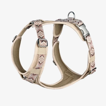 Beige Haustiergeschirr mit einem gemusterten Riemen, mit verstellbaren Schnallen und einem Metall-D-Ring zur Leinenbefestigung.
