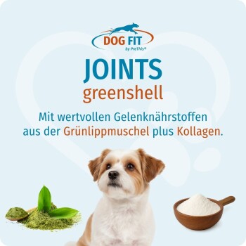 DOG FIT JOINTS greenshell: Hund mit grünem Muschelpulver und Schale mit Kollagen; deutscher Text über Grünlippmuschel plus Kollagen.