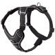 Schwarzes Hundegeschirr mit verstellbaren Riemen und einem gepolsterten Brustbereich, mit einem Metall-D-Ring zur Leinenbefestigung.