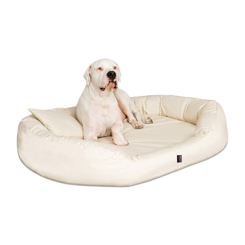 Tierlando ® Orthopädisches Hundebett SAMMY | Robuster Polyester | Dicke Umrandung creme 1,4 m, 30 cm, 1,05 m