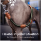 Nahaufnahme eines grünen Hundegeschirrs und einer Leine mit braunen Lederelementen, mit dem Text: "Flexibel in jeder Situation, 2m lang & verstellbar."