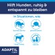 ADAPTIL Calm-Anzeige: 'Hilft Hunden, ruhig & entspannt zu bleiben' mit vier blauen Hunde-Icons und deutschen Beschriftungen.