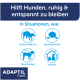 ADAPTIL Calm-Anzeige: 'Hilft Hunden, ruhig & entspannt zu bleiben' mit vier blauen Hunde-Icons und deutschen Beschriftungen.