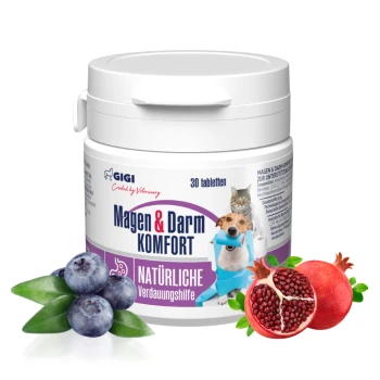 Behälter von GIGI Magen & Darm Komfort, ein natürliches Verdauungshilfsmittel für Haustiere, mit einem Hund und einer Katze auf dem Etikett neben Heidelbeeren und Granatapfel.